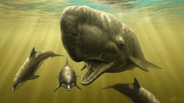 Sperm whale and three dolphins swimming underwater with sunlight filtering through the water.