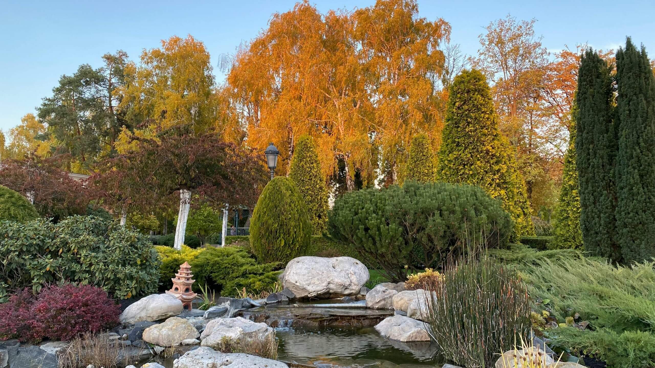 Japanese garden pond with rocks, shrubs, and autumn trees under a clear sky.