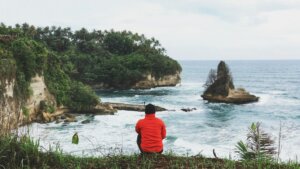 Person in red jacket sitting on grass overlooking rocky coastline with ocean waves and palm trees