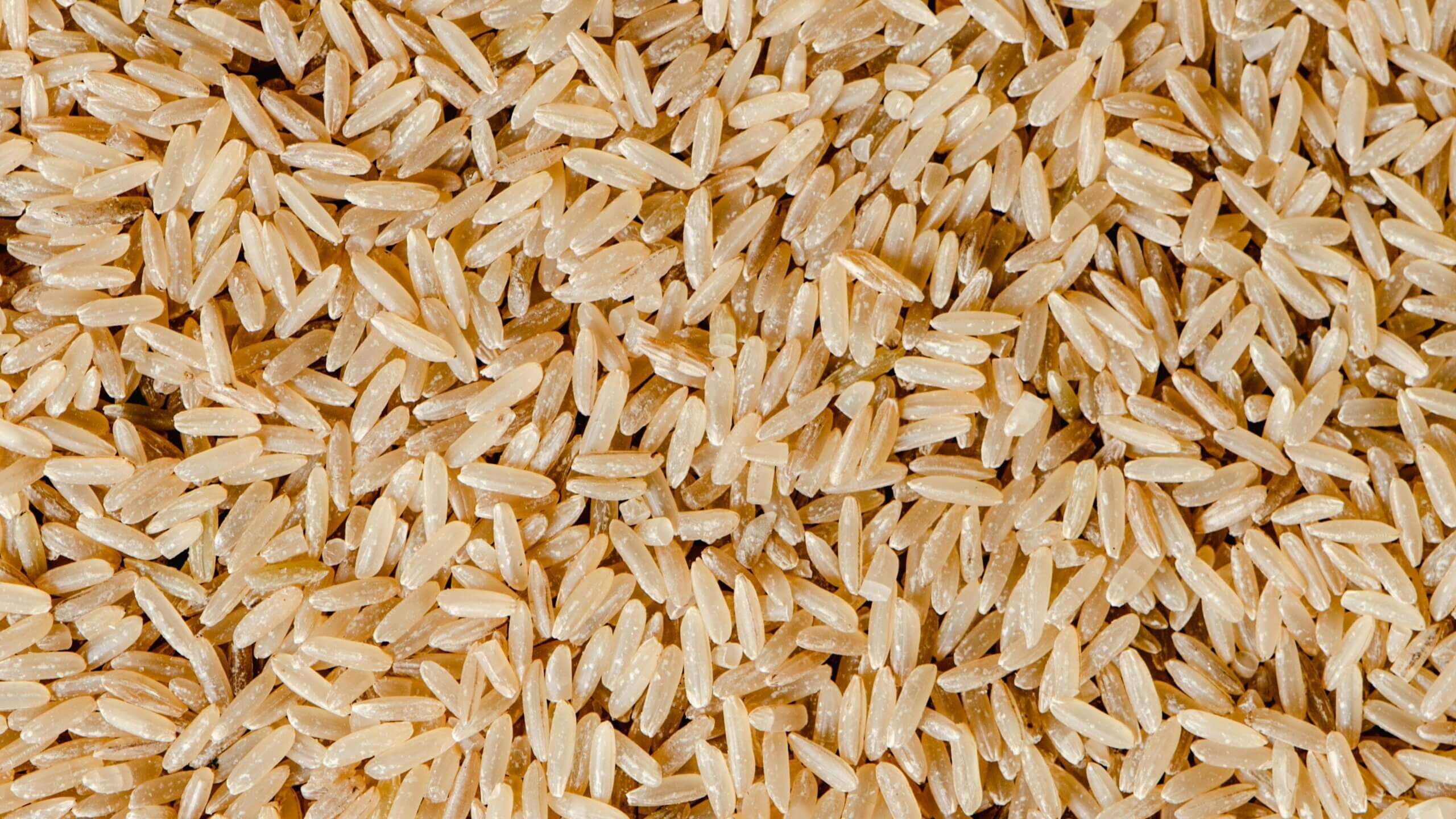 close-up of uncooked brown rice grains