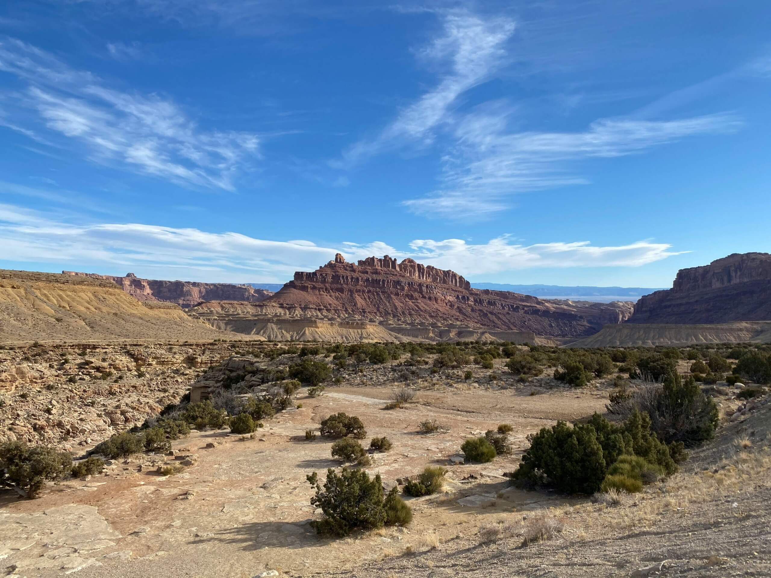 Desert landscape with rocky mesas and scattered shrubs under a blue sky with wispy clouds.