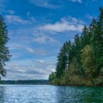 Calm lake surrounded by dense evergreen trees under a partly cloudy blue sky.