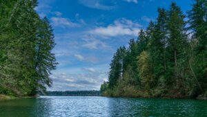 Calm lake surrounded by dense evergreen trees under a partly cloudy blue sky.