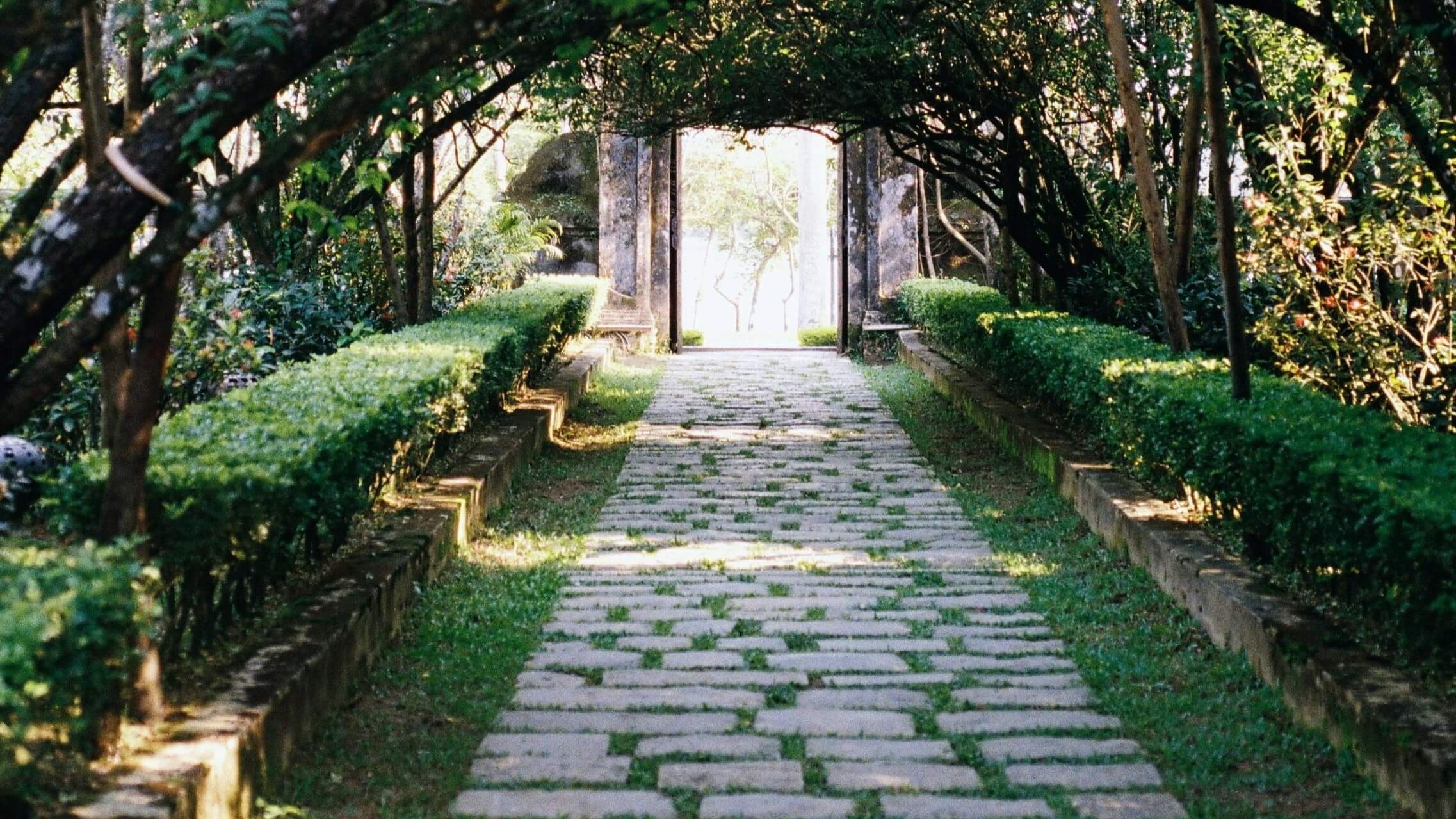 Stone pathway lined with trimmed hedges and trees forming a shaded tunnel leading to a bright stone archway.