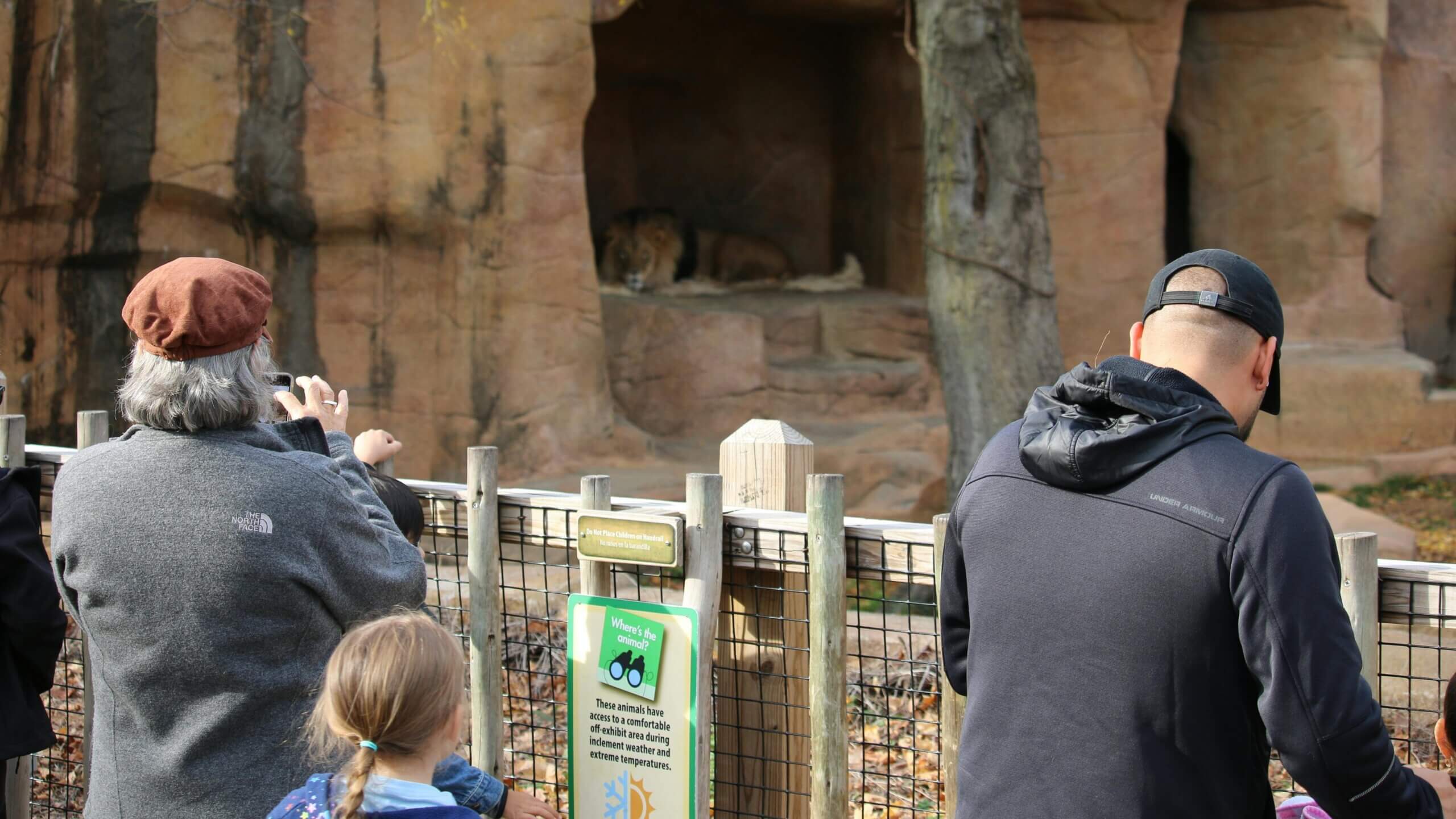 Visitors at a zoo viewing a lion resting inside a rocky enclosure behind a wooden fence