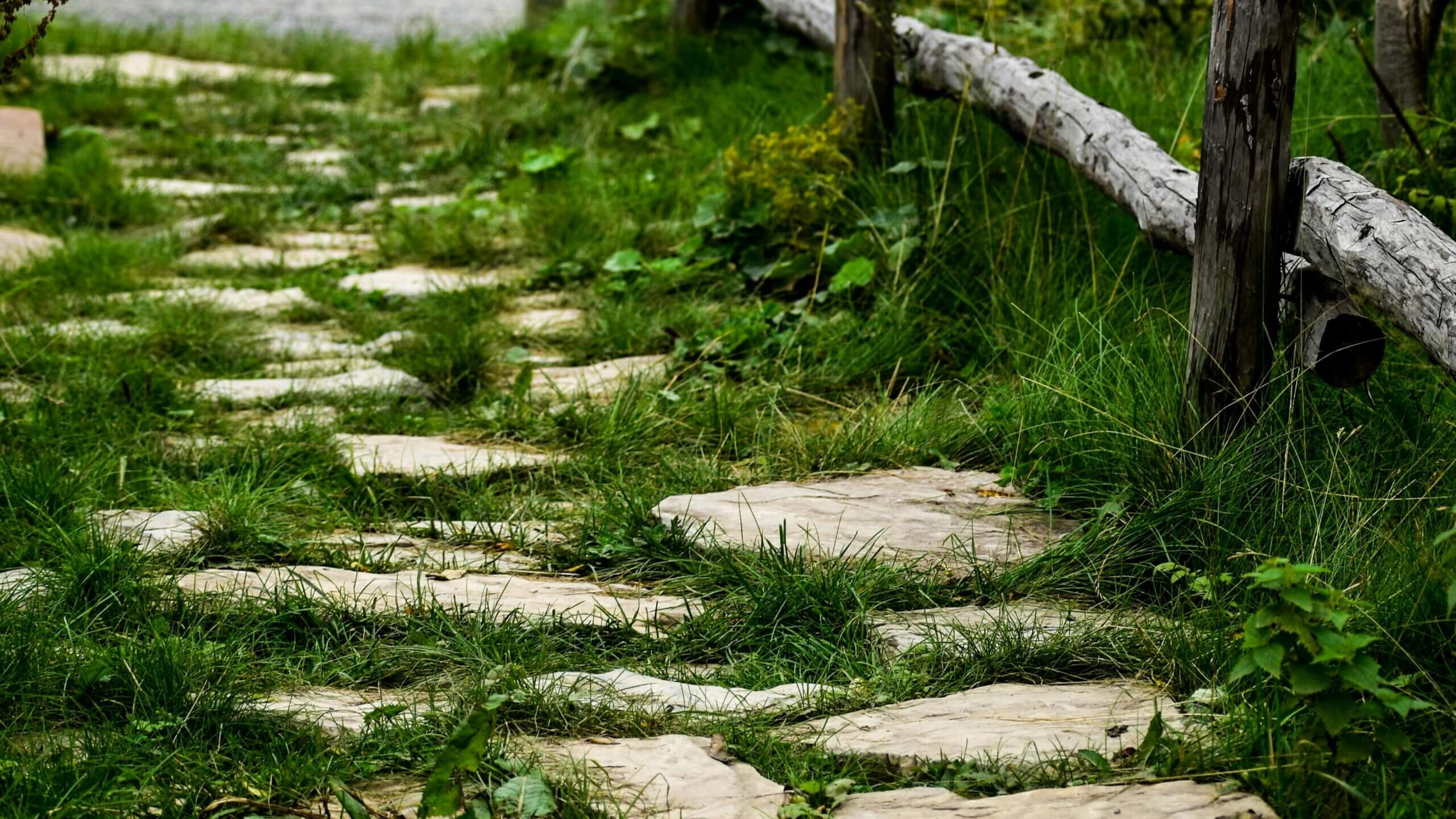 Stone pathway with grass growing between the stones next to a rustic wooden fence in a garden.