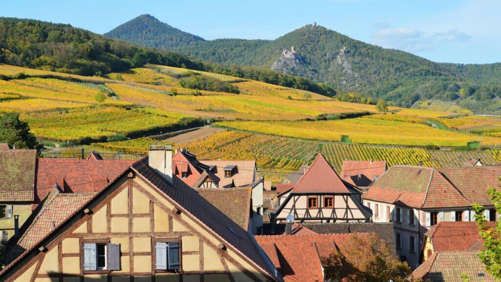 Traditional half-timbered houses with red roofs in a village surrounded by yellow vineyards and forested hills under a clear sky