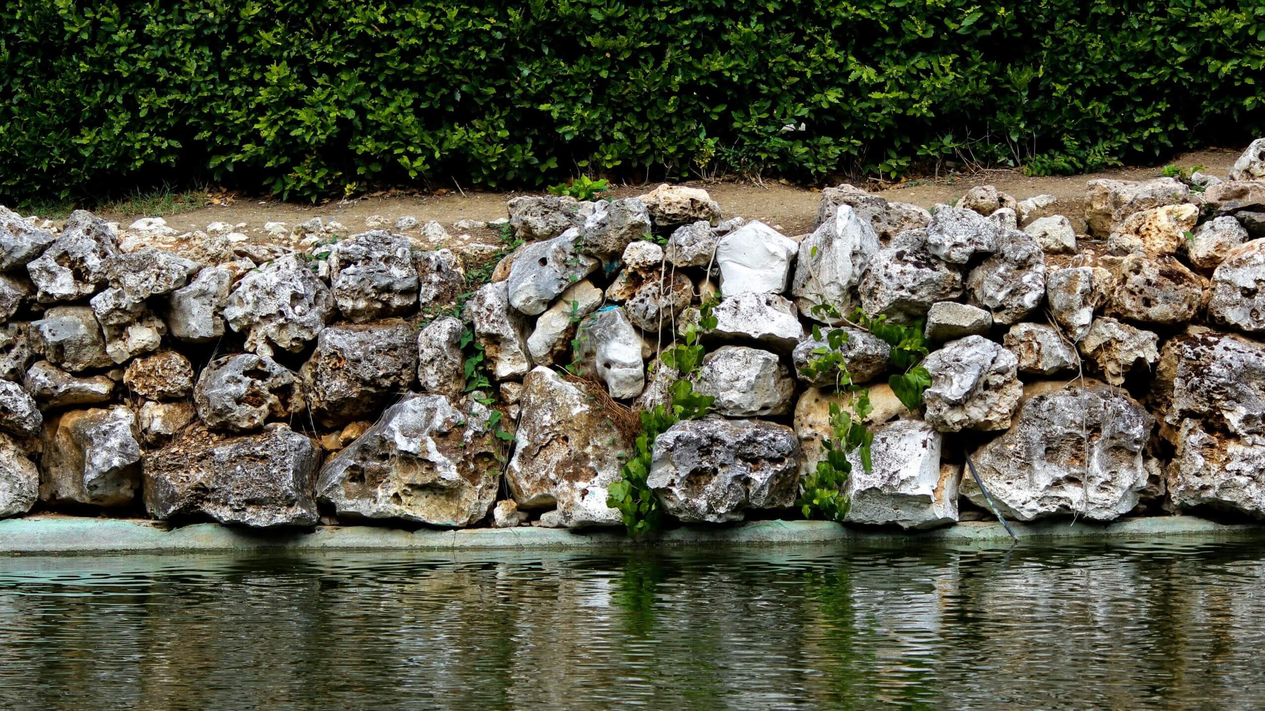 Rock wall with green vines beside a calm body of water and dense green shrubbery in the background.