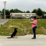 Woman in pink shirt holding food containers facing a sitting black and tan dog on a suburban street corner.