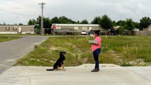 Woman in pink shirt holding food containers facing a sitting black and tan dog on a suburban street corner.