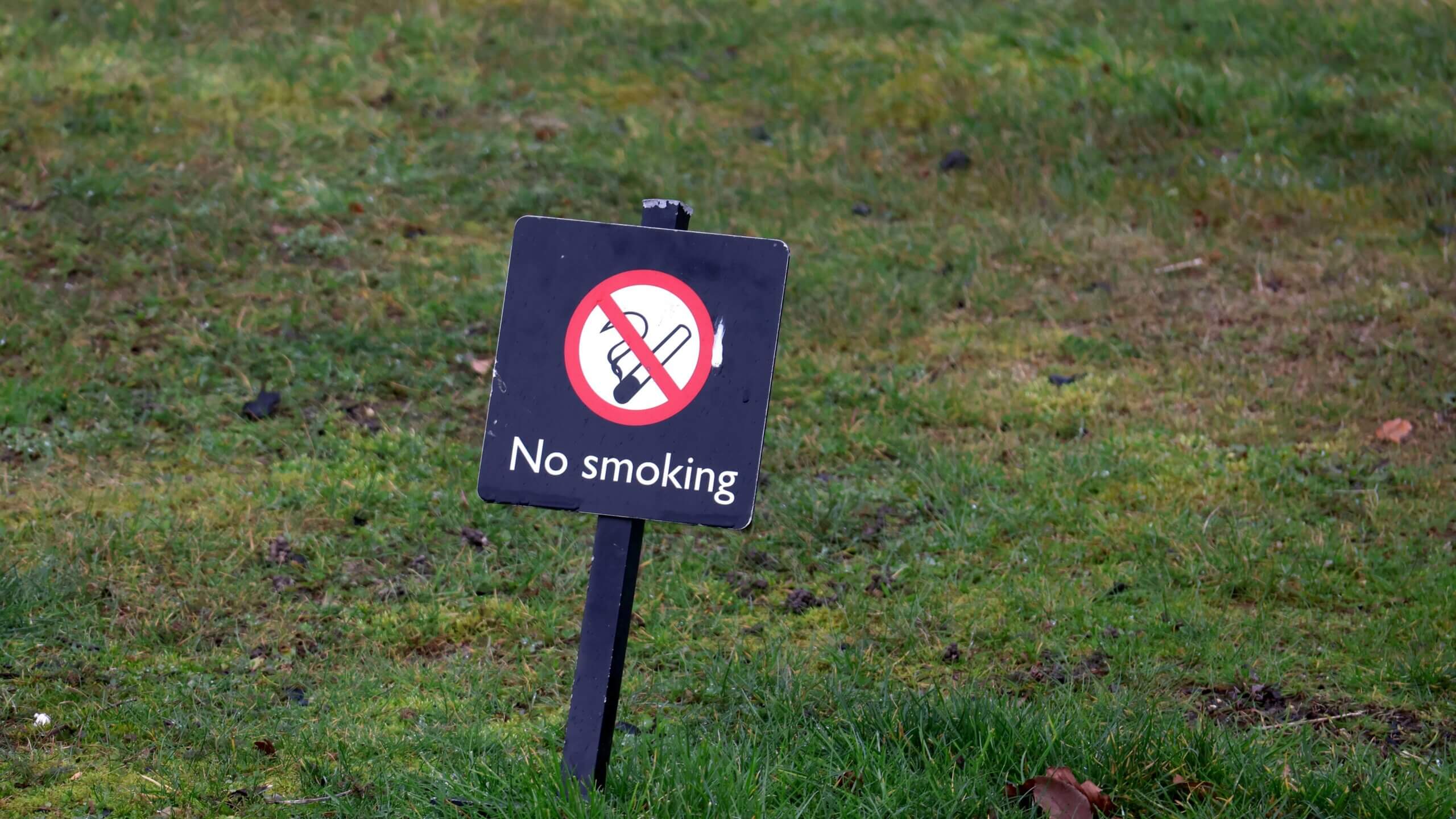 No smoking sign on a black post in a grassy area