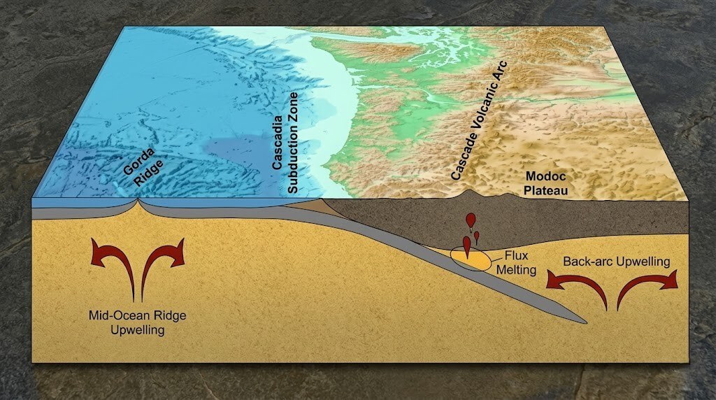 Cross-section diagram of the Cascadia Subduction Zone showing tectonic plates, flux melting, and upwelling processes.