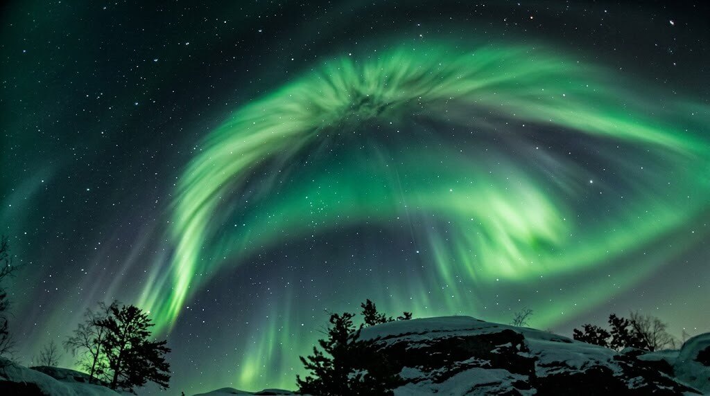 Green northern lights arching over a snowy landscape with silhouetted trees under a starry sky