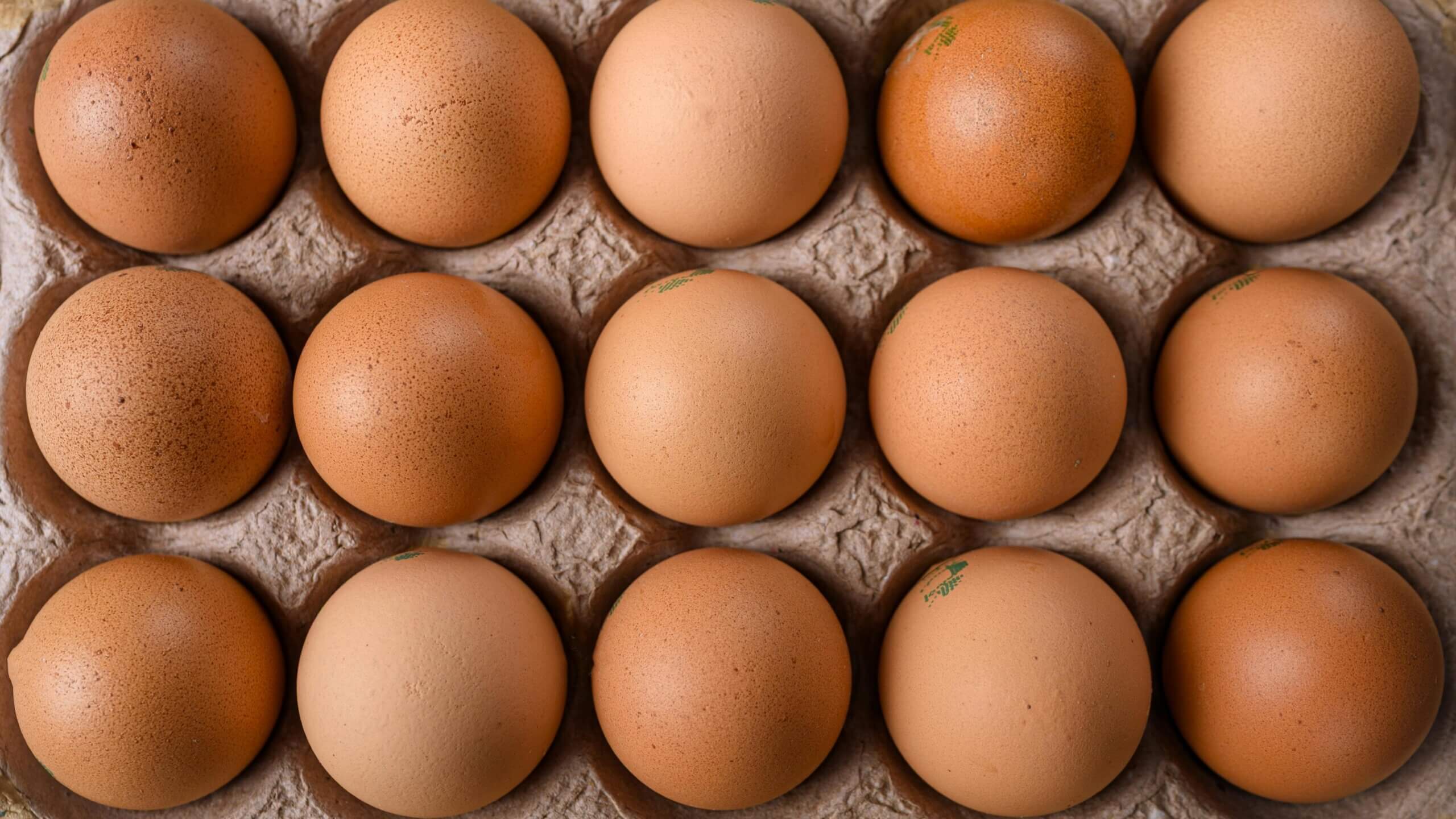 Tray of fifteen brown eggs with some stamped markings on shells