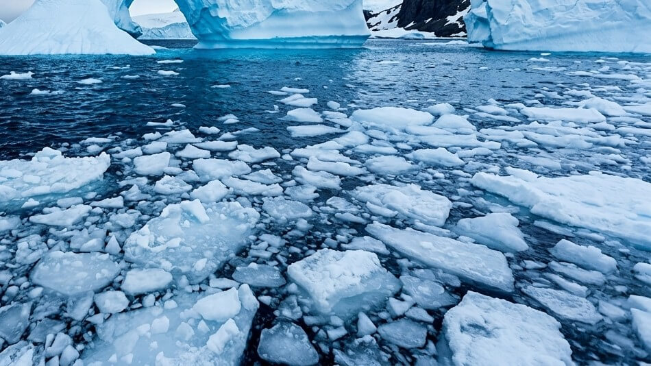 Floating ice chunks in cold ocean water near large icebergs with snowy mountains in the background