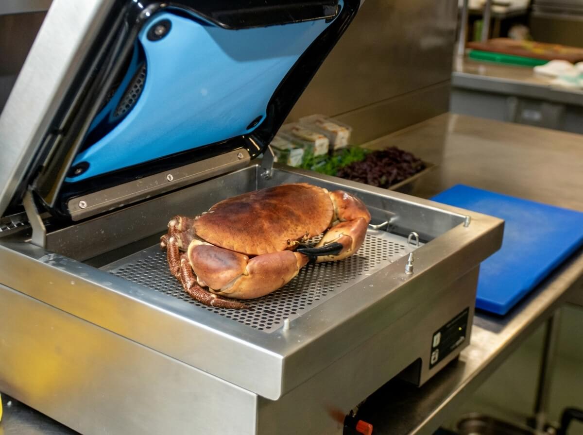 Cooked whole crab inside a stainless steel commercial kitchen steamer with the lid open