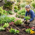 Woman in blue jacket and apron planting green leafy plants in a vibrant garden with gardening tools nearby
