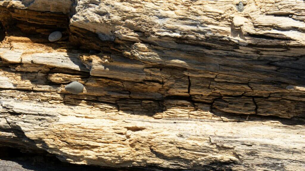 close-up of weathered driftwood with two small smooth gray stones nestled in crevices