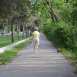 Person in yellow shirt walking a small brown dog on a tree-lined sidewalk in a park