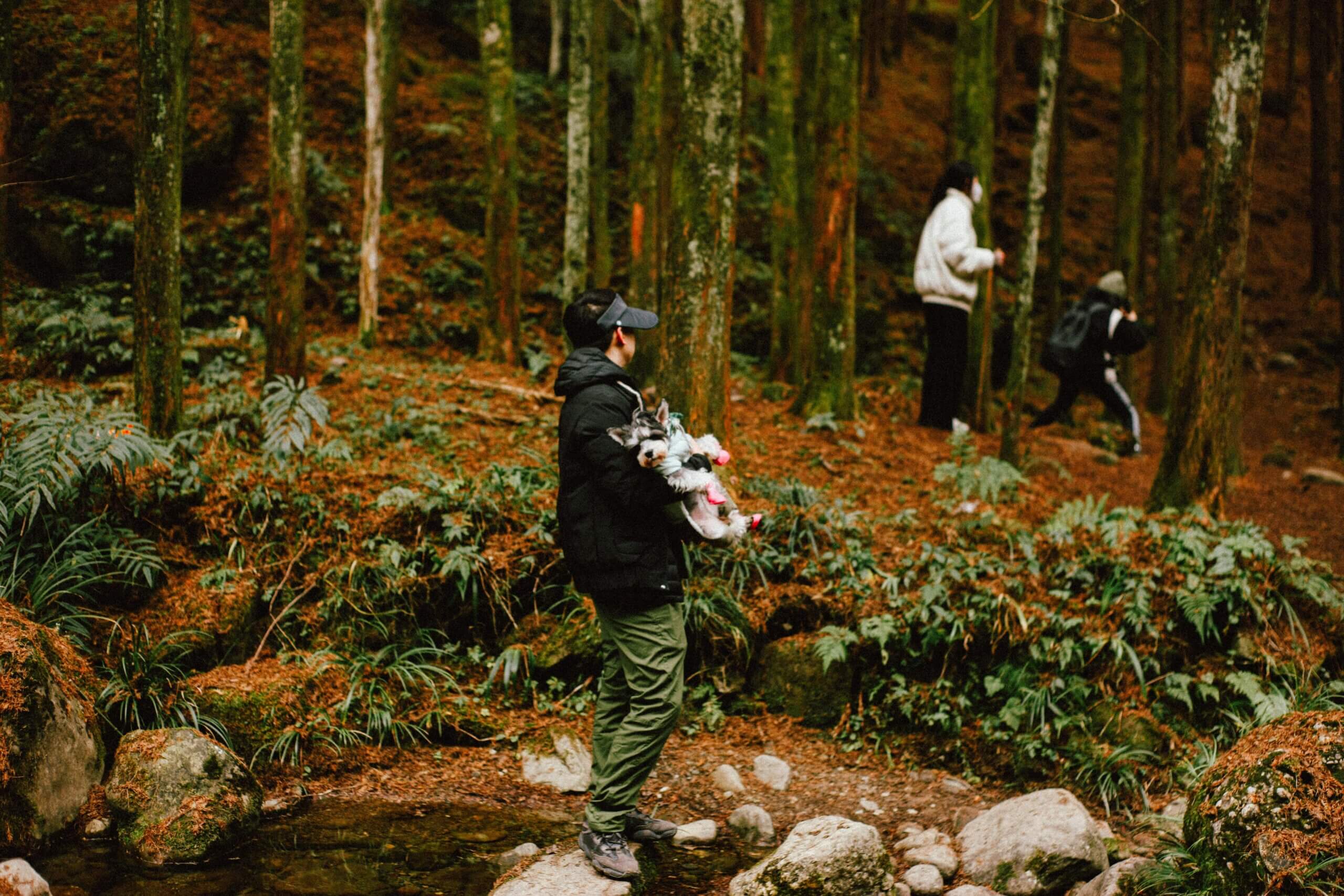 Person in black jacket and green pants holding a small dog wearing pink booties in a forest with two other people hiking nearby