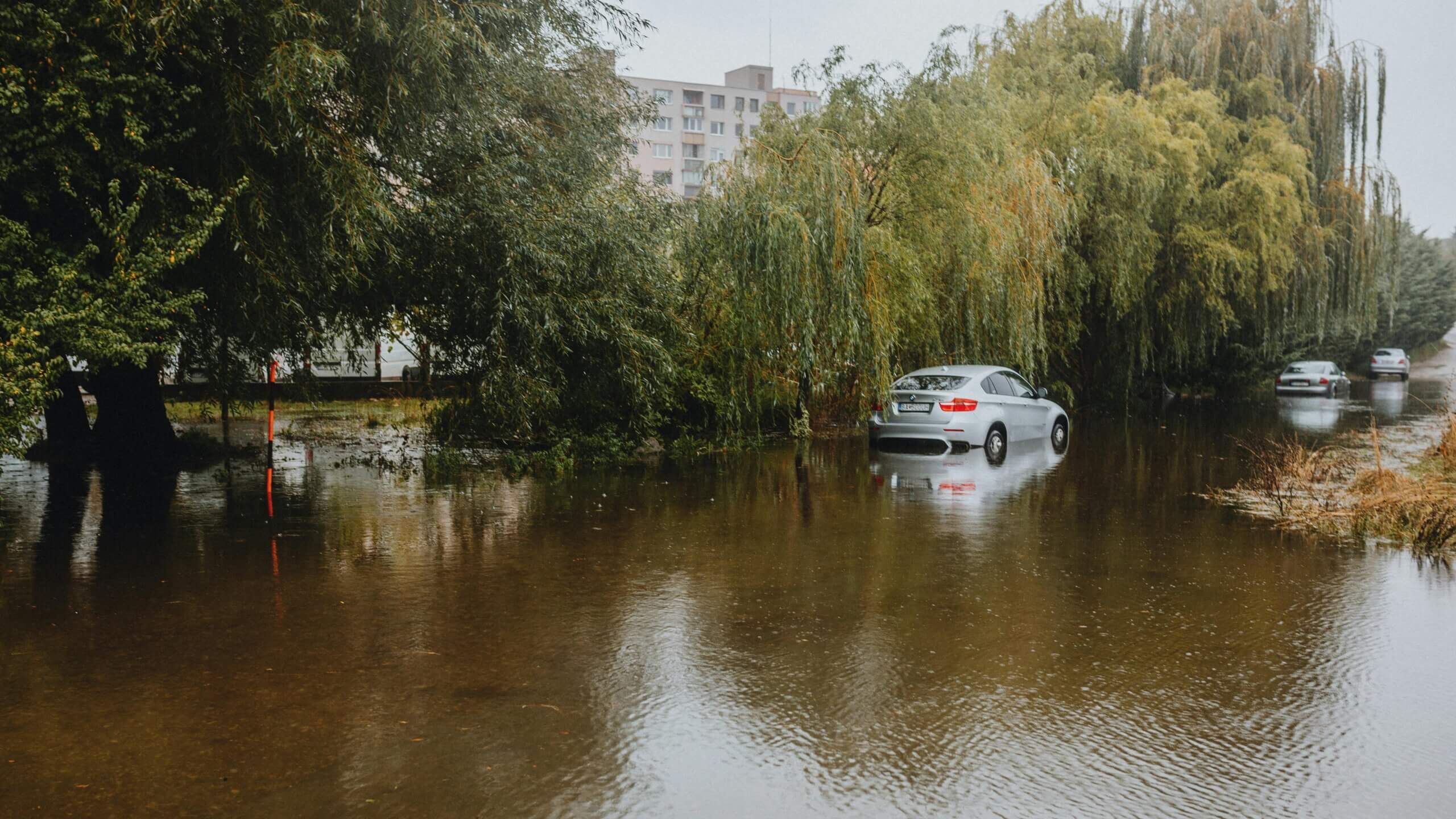 Silver BMW cars partially submerged in floodwater on a tree-lined street near apartment buildings