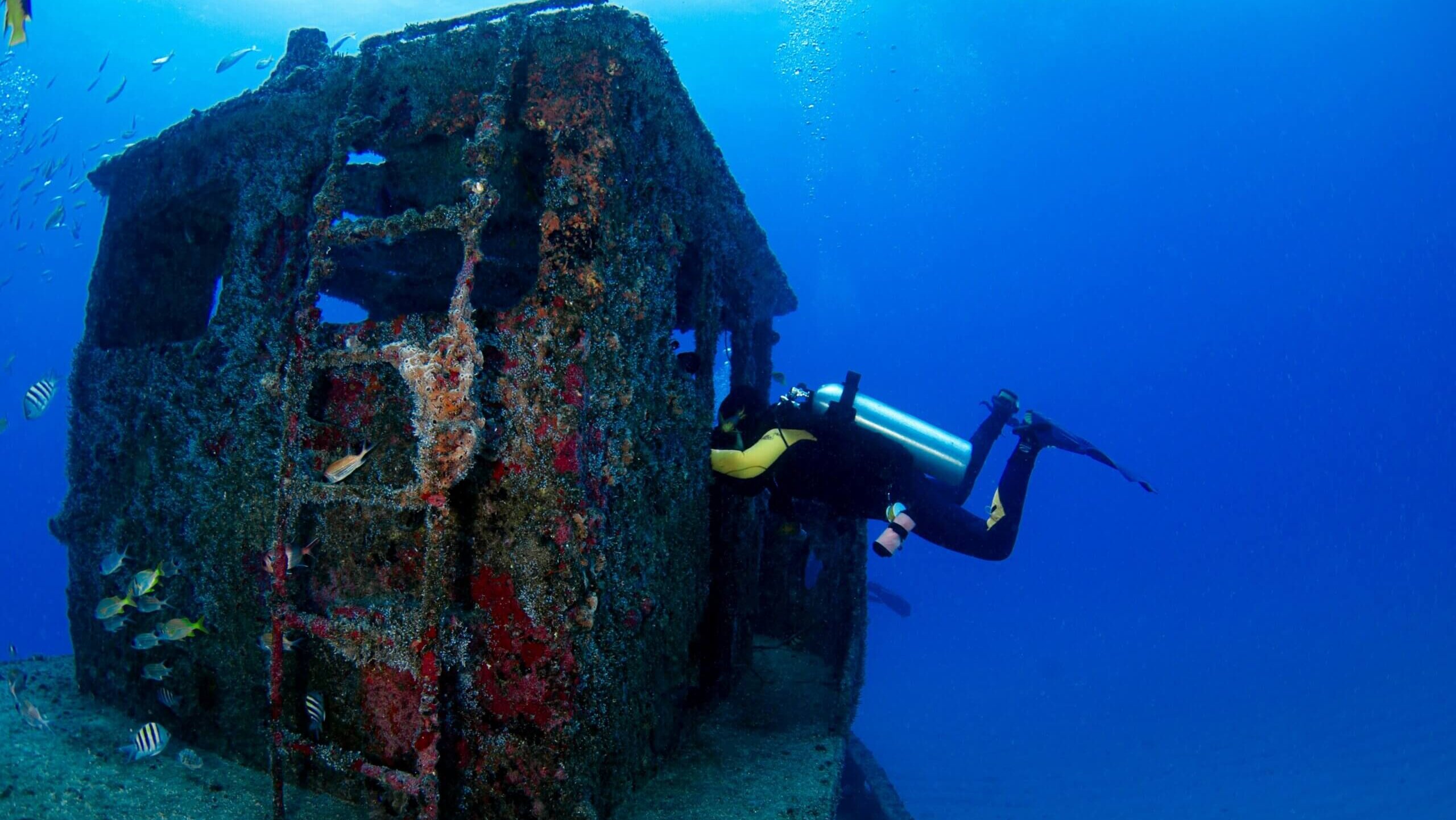 Scuba diver exploring a coral-encrusted shipwreck underwater surrounded by fish.