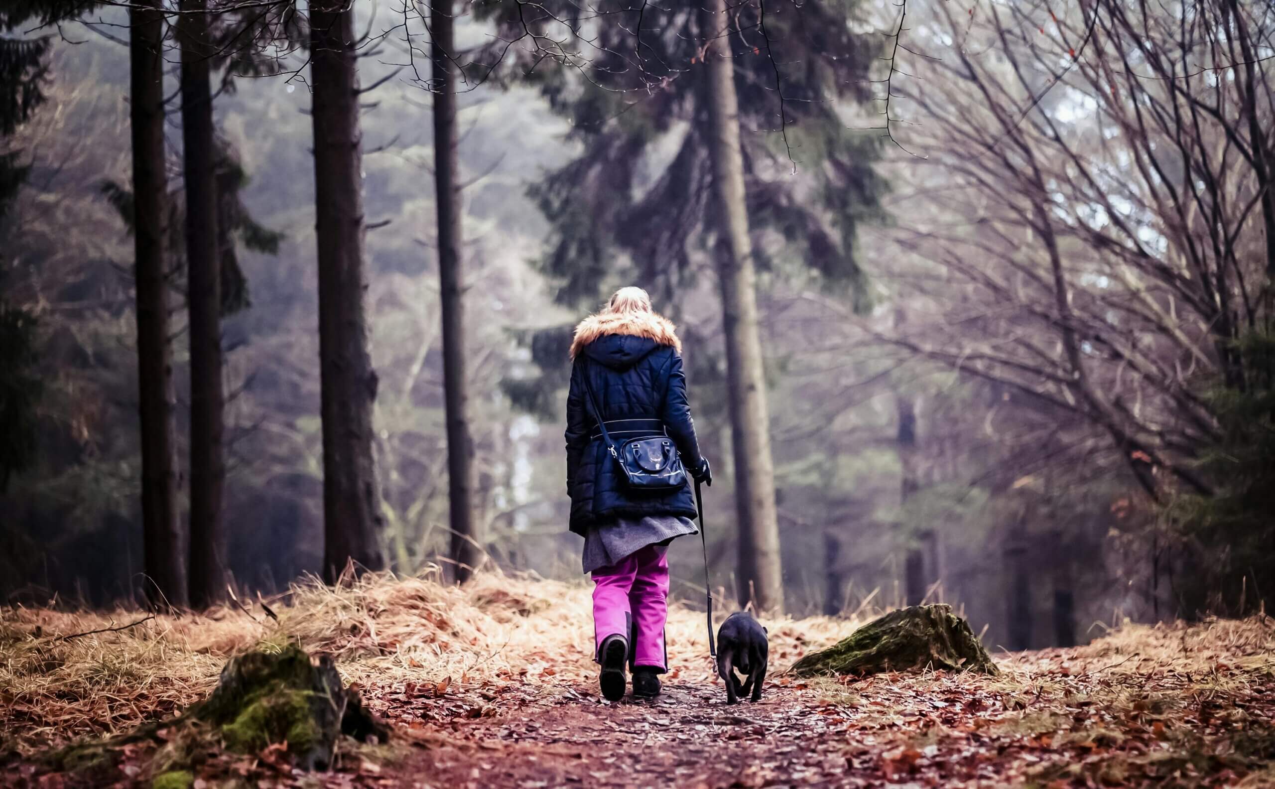 Person in a black coat with fur hood walking a small black dog on a forest trail in autumn.