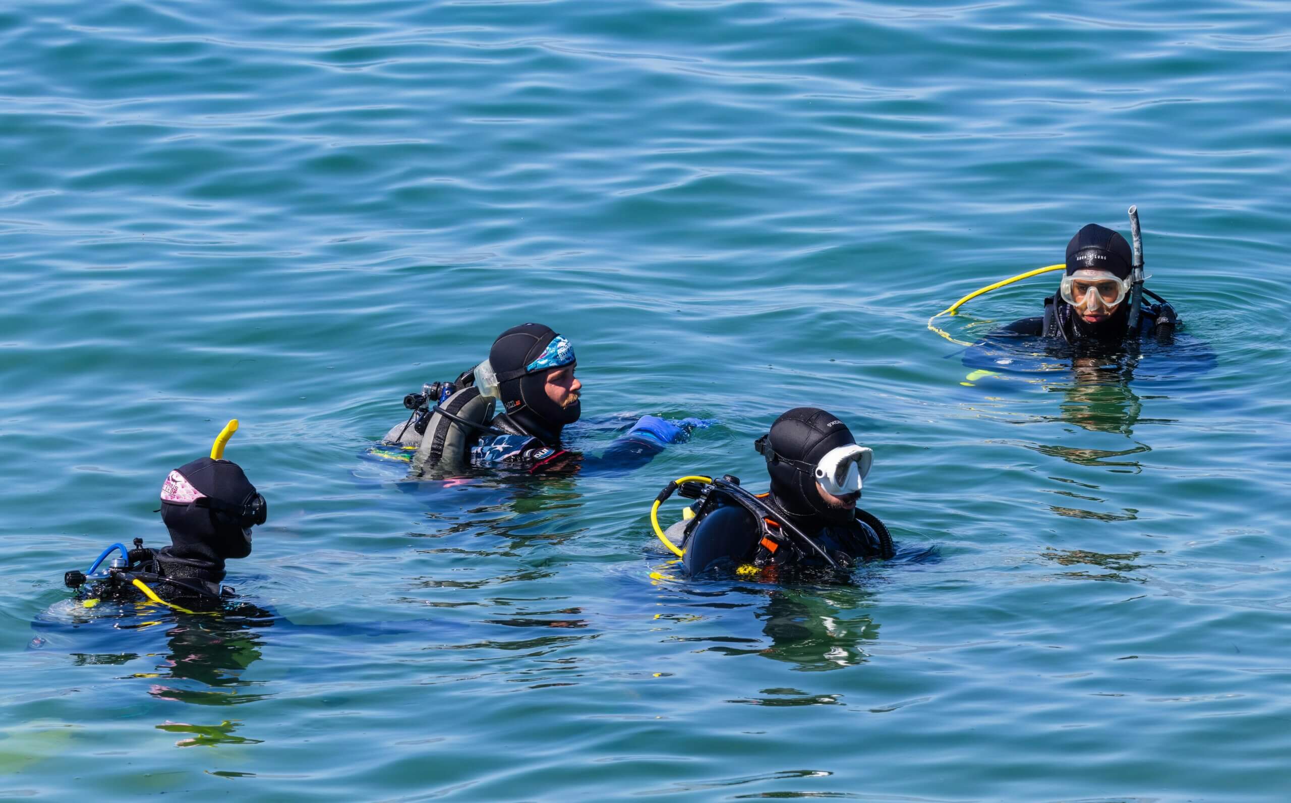 Four scuba divers in wetsuits and masks floating in calm blue water.