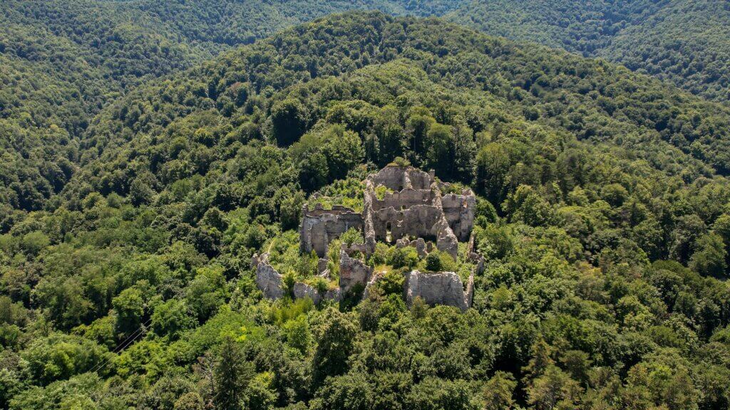 Ruins of a stone castle surrounded by dense green forest on a hillside.