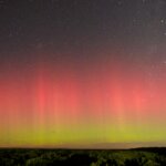Red and green northern lights glowing above a dark forest under a starry night sky