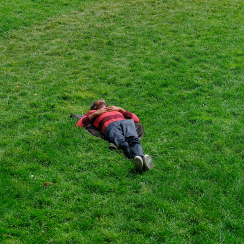 Person lying on green grass wearing a red and black striped sweater and dark pants.