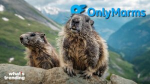 When federal research grants were wiped out by algorithms, UCLA scientists turned to OnlyFans to fund 65 years of climate data.