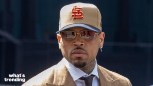 Chris Brown pleaded guilty to affray in London, but the internet is fiercely divided. Here is how fans and critics are reacting.