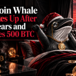 Bitcoin whale wearing Santa hat and monocle wakes up in bed with Bitcoin coins around at sunset cityscape.